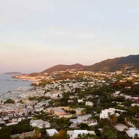 Piccolo Paradiso アパート Forio di Ischia