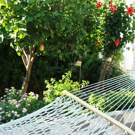 アパート Piccolo Paradiso Forio di Ischia